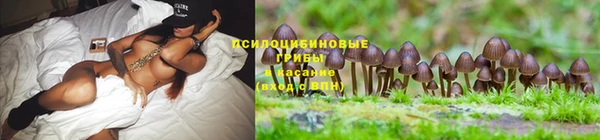 дистиллят марихуана Алексин