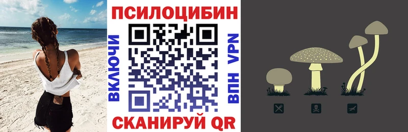 Псилоцибиновые грибы Psilocybe  кракен ССЫЛКА  Дубна 