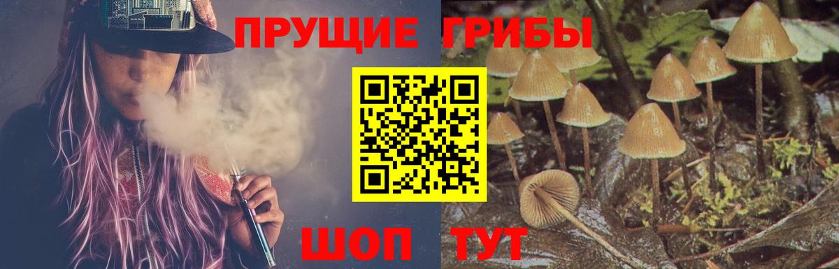Галлюциногенные грибы GOLDEN TEACHER  Вход с VPN  Дубна 